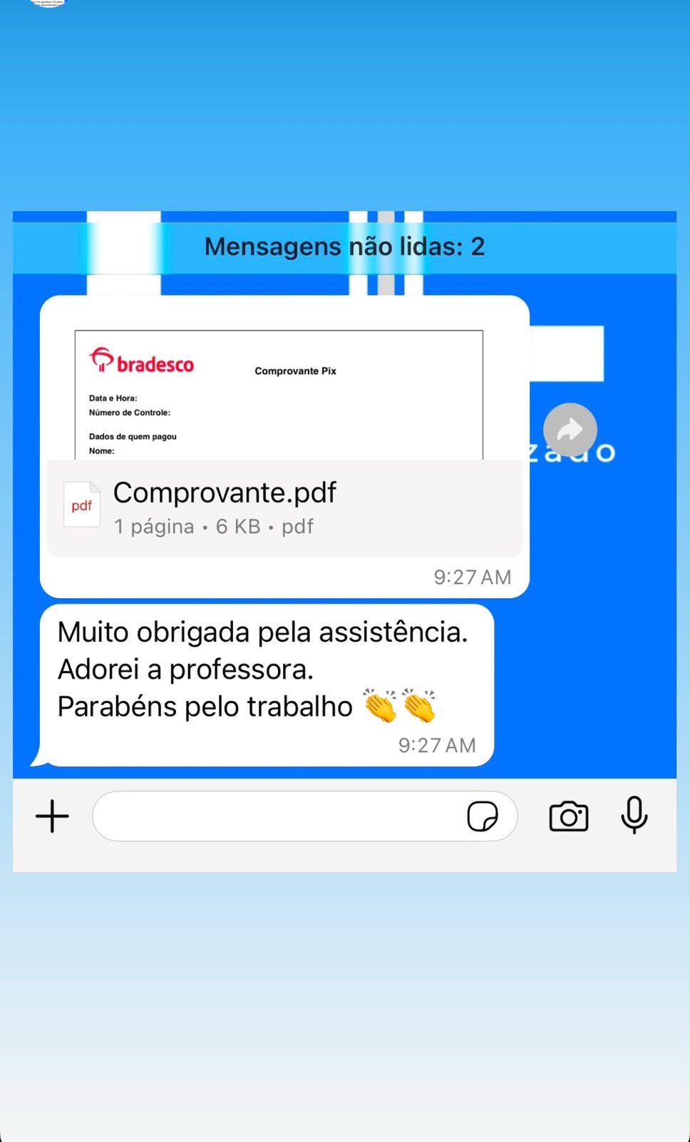 Print de WhatsApp: agradecimento pelo desempenho do aluno na recuperação