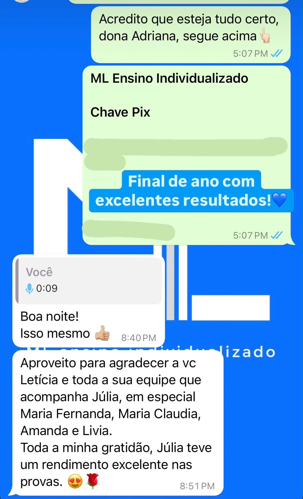 Print de WhatsApp: mãe agradecendo o acompanhamento de perto da equipe de professoras