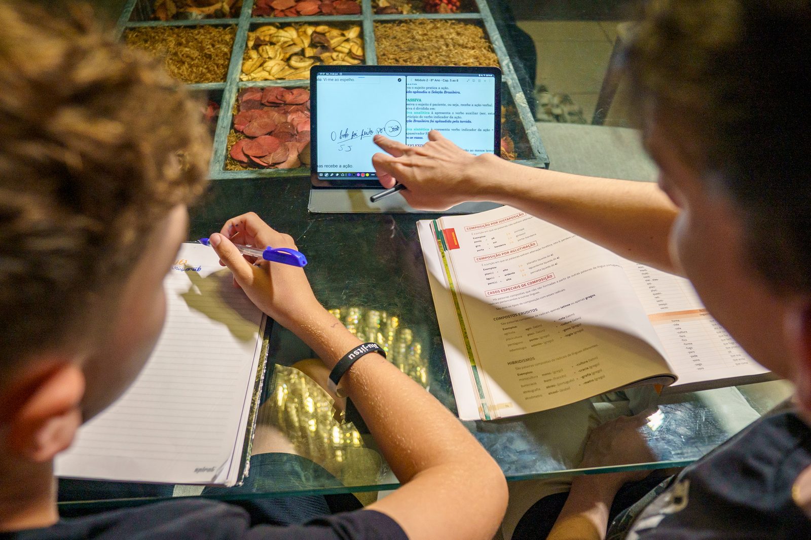 Irmãos revisando exercício de gramática juntos
